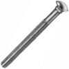 Винт M 6 х 100 с полукруглой головкой и квадратным подголовком cq6, PH2 (250 шт), цинк белый